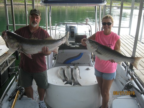 Nice Striped Bass
